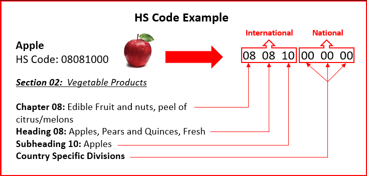 Cấu trúc hoàn chỉnh HS Code