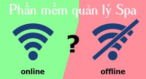 Sự khác nhau của phần mềm quản lý spa online và offline 
