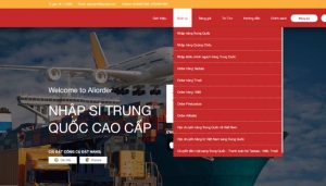 Các dịch vụ mà Aliorder cung cấp