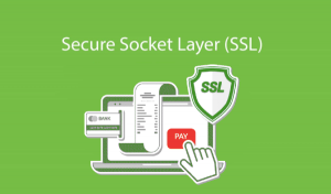 chứng chỉ ssl bảo vệ thanh toán trực tuyến
