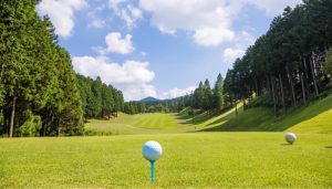 Giá thành phải chăng