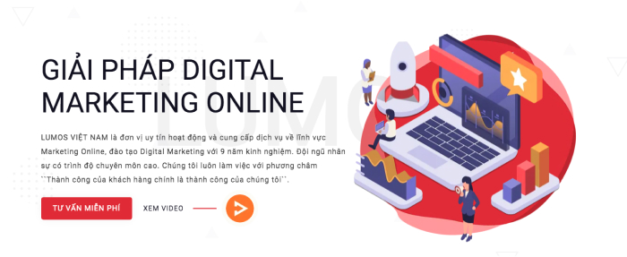 dịch vụ tiếp thị online lumos Việt Nam
