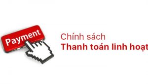 Thanh toán linh hoạt