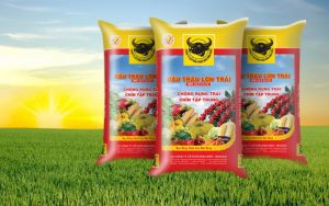 Nhà máy Phân bón Bình Điền