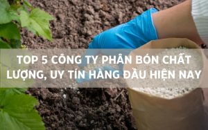 công ty phân bón