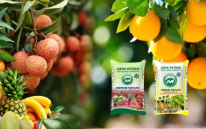 Công ty Phân bón Việt Nhật JVF