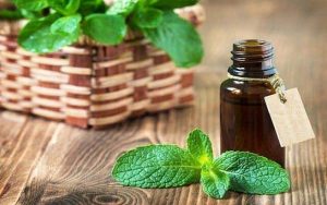 tinh dầu bạc hà