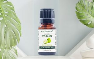 địa chỉ nhập sỉ tinh dầu uy tín