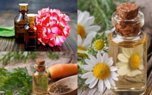 tinh dầu xua đuổi côn trùng