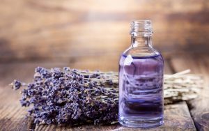 tinh đầu oải hương