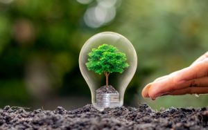 vai trò của dịch vụ tư vấn môi trường