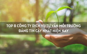 dịch vụ tư vấn môi trường