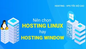 Nên chọn Hosting Linux hay Hosting Windows
