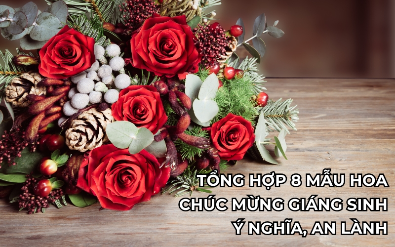 hoa chúc mừng Giáng Sinh