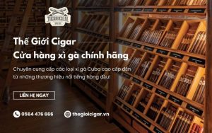 Thế Giới Cigar - Cửa hàng bán xì gà chính hãng