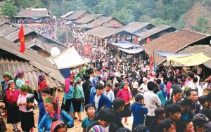 chợ tình khâu vai