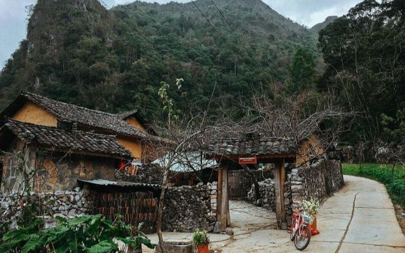 mèo vạc nằm ở đâu
