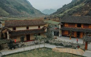 thời điểm lý tưởng nào nên đi mèo vạc