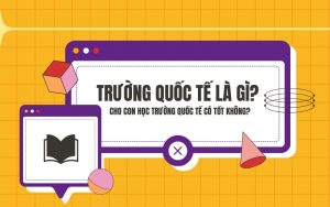 trường quốc tế là gì